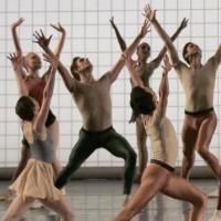 BWW Reviews: All Robbins, Not All Good