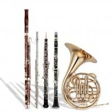 Ann Arbor Symphony Orchestra Kicks Off Nov 2013 Chamber, Main Stage, & Family Concert