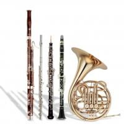 Ann Arbor Symphony Orchestra Kicks Off Nov 2013 Chamber, Main Stage, & Family Concerts