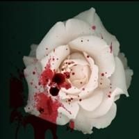IN TIME OF ROSES at Clarice Smith Center Reveals Margaret of Anjou's Journey, Now…