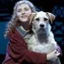 TV: Sneak Peek of Katie Finneran, Anthony Warlow & Lilla Crawford in ANNIE…