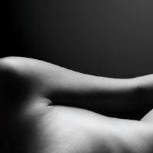 Gulfshore Playhouse Continues 2014-15 Season with BODY AWARENESS, Now thru 11/16