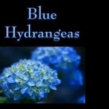 Marianne Sciucco to Appear On 'The Unexpected Caregiver' Radio Show, 12/19