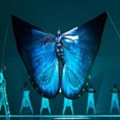 BWW Reviews: Alice Brings Wonderland To Cincinnati