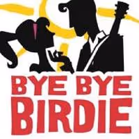 BWW Reviews: Candlelight Pavilion Brings Back the 50s with BYE BYE BIRDIE