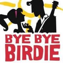 BWW Reviews: Candlelight Pavilion Brings Back the 50s with BYE BYE BIRDIE