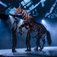 BWW Reviews: WAR HORSE Brings Heartwarming Tale to Nashville