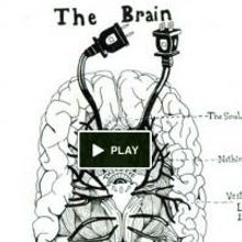 Debut Novel Goes Live on Kickstarter; Beauty Tips for the Bereaved by Sunny Haralson