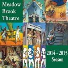 Meadow Brook Theatre Sets 2014-15 Season Featuring AROUND THE WORLD IN 80 DAYS, ONCE 