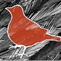 Schmucks Theatre Presents NY Premiere of BLACKBIRD, Now thru 4/28