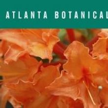Atlanta Botanical Garden Leads 30th Annual GARDENS FOR CONNOISSEURS TOUR This Weekend