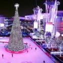 Photo Flash: First Look at Brightman, Manilow & More in L.A. LIVE's HOLIDAY TREE LIGHTING
