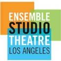 LA's Ensemble Studio Theatre Will Present THE FISHERMAN’S WIFE and DOESN’T ANYONE KNOW WHAT A PANCREAS IS? in Rep, Opening 10/25