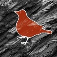 Lucia Cox's BLACKBIRD to Make US Premiere at Location One, 4/16