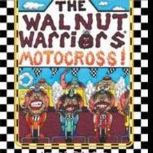 Lance L. Palmgren Releases Fifth Book of the Walnut Warriors Series