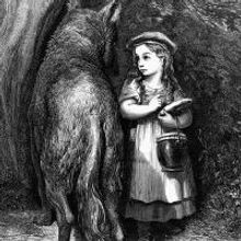 The Psychology of Fairy Tales