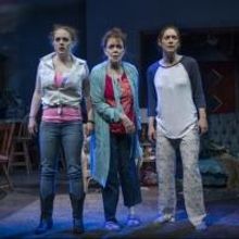 Photo Flash: First Look at Steppenwolf's World Premiere of THE WAY WEST