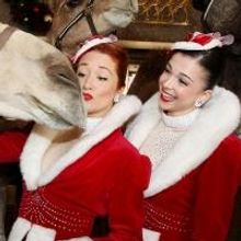 Photo Coverage: Rockettes Welcome Animals on First Day of Rehearsal