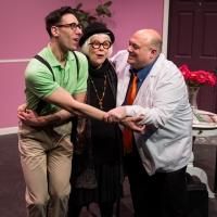 Photo Flash: First Look at Karen Lynn Gorney and More in UNDER THE KNIFE: A FARCE at…