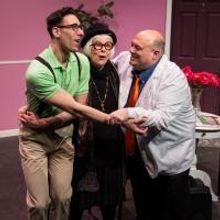 Photo Flash: First Look at Karen Lynn Gorney and More in UNDER THE KNIFE: A FARCE at 