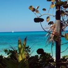 Summer Stages: Long Island Summer Preview