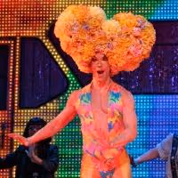 BWW Reviews: PRISCILLA at the Paramount is One Big Spectacle with No Heart