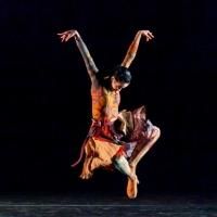 Grupo Corpo to Make Chicago Debut at the Auditorium Theatre, 2/28 & 3/1