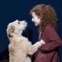 ANNIE, GRACE and More Make TIME's Best of 2012
