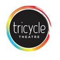 Full Cast Announced for THE FATHER at Tricycle Theatre