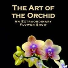 Orchid Show and More Set for The Ware Center's First Friday Today