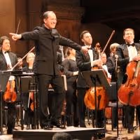 PSO Viva Verdi! Concert to Feature Johnson, Lattimore, Borichevsky, & Russell, 5/17