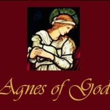 Rev. Lisa 'Lucy' B. Hamilton Set for Talk-Back After Manatee's AGNES OF GOD, 3/8