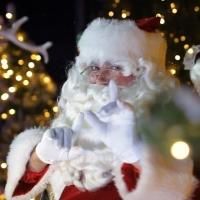 SANTA'S MAGICAL KINGDOM Opening 15 November at Caulfield Racecourse