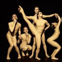 BWW Reviews: Nederlands Dans Theatre II