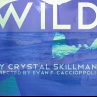 Sanguine Theatre Presents New York Premiere of WILD, Now thru 4/6