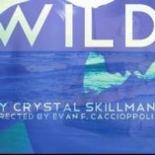 Sanguine Theatre Presents New York Premiere of WILD, Now thru 4/6