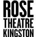 The Rose Theatre Kingston Announces Cast for THE VORTEX