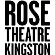 The Rose Theatre Kingston Announces Cast for THE VORTEX