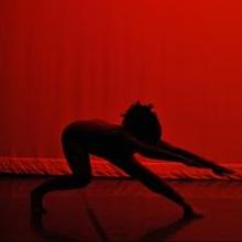 NonaLee Dance Theatre and More Set for Green Space, Nov 2013