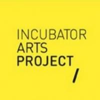 Incubator Arts Project Will Close in July