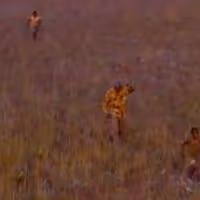 VIDEO: Teaser Trailer for MANDELA: LONG WALK TO FREEDOM
