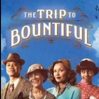 THE TRIP TO BOUNTIFUL Launches Wine Wednesdays and Go Green Thursdays