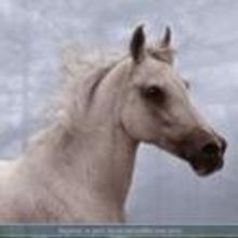 Catherine Madera Releases RAIN SHADOW