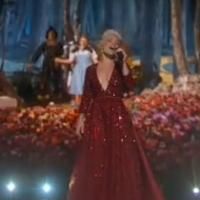 VIDEO: Pink Pays Tribute to WIZARD OF OZ, Judy Garland at Oscars
