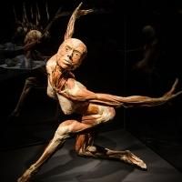 Enigmatic 'Dancer' Turns Heads In New York City at the BODY WORLDS: PULSE Exhibit