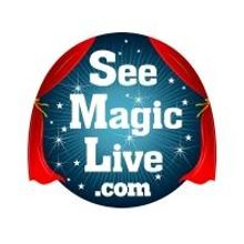 Dr. Phillips Center & See Magic Live Partner for Summer Camp