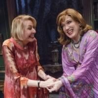 BWW Reviews: Charles Busch Plays a Man in THE TRIBUTE ARTIST