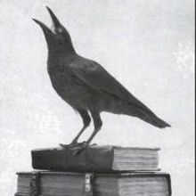 Guillotine Theatre to Bring TALES OF MYSTERY AND THE IMAGINATION to Ivy Hill Cemetery