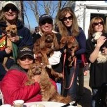 Photo Flash: Jill Rappaport and More at Bay Street Theatre's TRAVELS WITH CHARLEY Dog