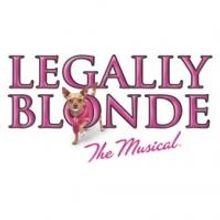 Des Moines Community Playhouse Presents LEGALLY BLONDE THE MUSICAL, Now thru 8/4